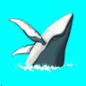 Profilbild von Ocean Education
