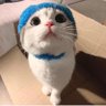 Profilbild von 乐福