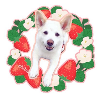 kikimiiiy's profile picture