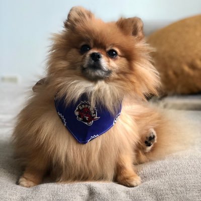 ddale8's profile picture