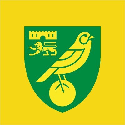 Norwich City CSF's profile picture