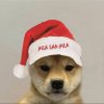 B's profile picture