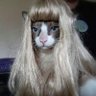 coffeeseabukomangga's profile picture