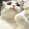 ねむる。 的头像