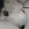 broke Bill's profile picture