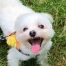 KANJI's profile picture