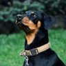 Фото профиля Nevena