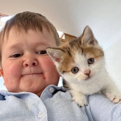 BARSIK (Hasbulla’s Cat)'s profile picture