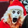 Jeff Connor's profile picture