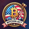 The Bitcoin Act on Solana 的头像