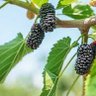 Фото профиля الحريه