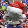 Wildcat_Isaac's profile picture