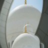 ال حماد's profile picture