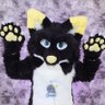 Shaggy ( @foxyshaggy.bsky.social ) profil fotoğrafı