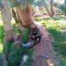 Profilbild von عبد الغني مومني المملكة المغربية Abd h
