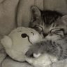 Akki :D profil fotoğrafı