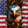 Фото профиля 🇺🇸🇺🇸 MalevMark 🇺🇸🇺🇸