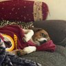 Фото профиля 🏈 Redskins Rising! 🚀
