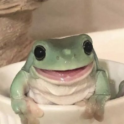 The Frog Pond's profile picture