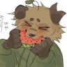 nikita 🐾's profile picture