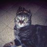 almostrugged's profile picture