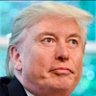 Profilbild von Felon Musk*parody*