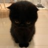 marz profil fotoğrafı