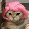 puty profil fotoğrafı