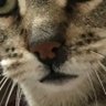 R2D2's profile picture