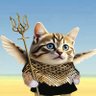 Stillbonking - feline Fella 🏴󠁧󠁢󠁥󠁮󠁧󠁿❤️🇺🇦's profile picture