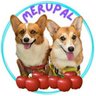 Profilbild von コーギー犬めるぱる🍎