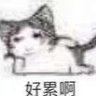 mieX 的头像