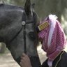 خيّال's profile picture