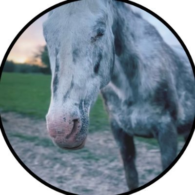 CheyenneCTO's profile picture