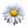 ChrisDaisy's profile picture