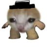 Фото профиля tunez 🔜 didn't go to Worlds 2026 :(