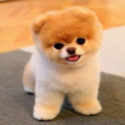 ess's profile picture
