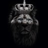 Profilbild von فيصلس