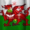 Фото профиля 🏉⚽️Callum 🏴󠁧󠁢󠁷󠁬󠁳󠁿🦢