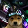 Dety 的头像