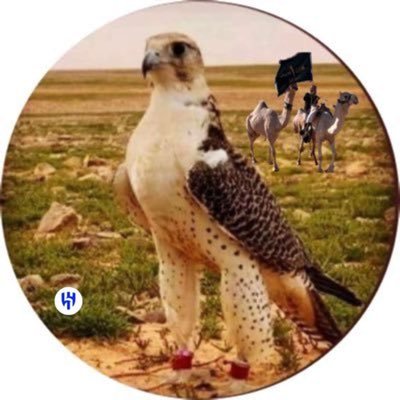 تركي الحربي🇸🇦's profile picture