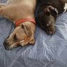 Doug's profile picture