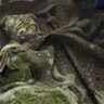 Фото профиля たいち