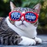 Trina's profile picture