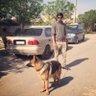 Qasim Sindhu's profile picture