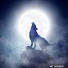 Profilbild von by_omr