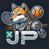 JavaTennis profil fotoğrafı