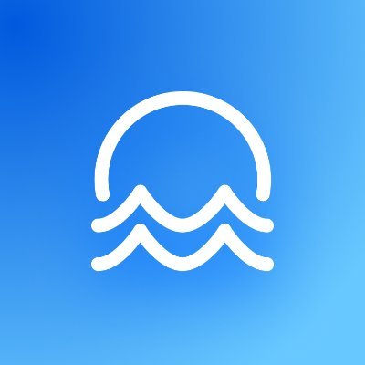 Suiet | Sui Wallet's profile picture