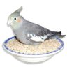 Cereal Tweeter's profile picture