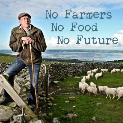 1GarethWynJones's profile picture